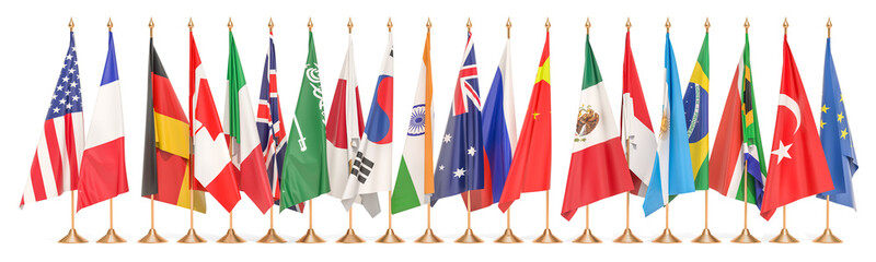 G20 meeting concept, row from flags of all members G20. 3D rendering