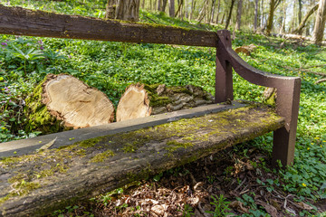 Old wooden bench covered with moss, trunk and stump beside her on the green grass in the park