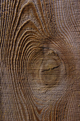 Wooden Texture Background.Cropped Shot Of A Textured Background.Wooden Texture. Wooden Background. Tree Texture. Tree Background. Crack Tree Texture. Nature Texture Background.