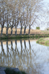 Fototapeta na wymiar Balade au bord du canal