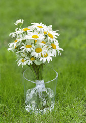Daisies in the vase on the grass
