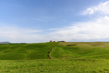 Fototapeta na wymiar Rural green landscape in springtime.