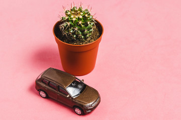 Closeup Cactus in Brown Vase with Model Car on Pink Backgrounf. Image for Nature, Nobody, Summer, Garden Concept.