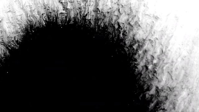 Black ink spreading on white background with an amazingly detailed bleed effect. This footage can be used as a transition or reveal for your photo and video slideshows