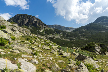 Fototapeta na wymiar Landscape near The Tooth peak, Pirin Mountain, Bulgaria