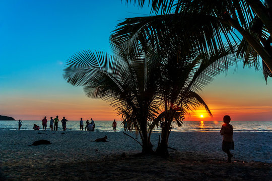 silhouette of Coconut Tree in the beach during sunset and sky burst, colorful orange and blue sky at Koh Kood, Thailand