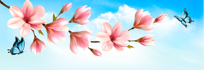Nature spring background with beautiful magnolia branches and butterfies. Vector. - obrazy, fototapety, plakaty