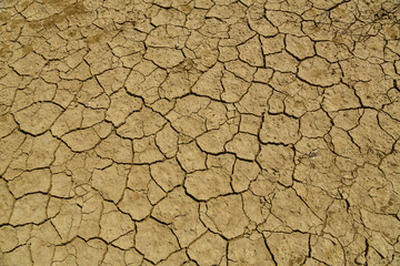 cracked earth from the heat.Texture. Horizontal frame