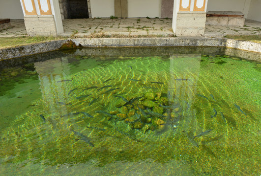 Fischzucht im Kloster Wessobrunn