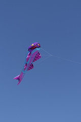 Obraz na płótnie Canvas Kite competition on a sunny hot day. Colorful, creative kites fly against a deep blue sky in the caribbean