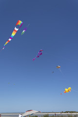 Kite competition on a sunny hot day. Colorful, creative kites fly against a deep blue sky in the caribbean