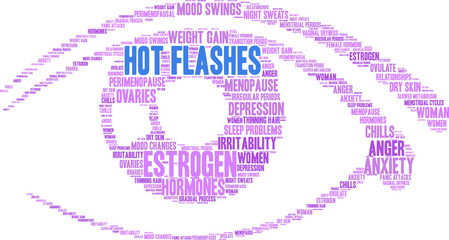 Hot Flashes Word Cloud on a white background. 