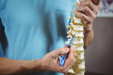Physiotherapist pointing at spine model