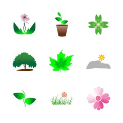 icon Nature with exotic, beatiful, flowers in pot, decoration and flowerpot