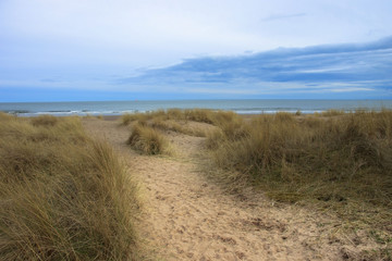 Dunes on the beach. St Cyrus, Aberdeenshire, Scotland, UK.