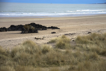 Dunes on the beach. St Cyrus, Aberdeenshire, Scotland, UK.
