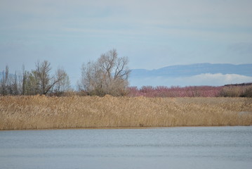 Pantano de Utxesa
