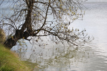 Pantano de Utxesa
