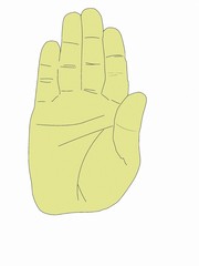 Open hand. Stoping gesture. 