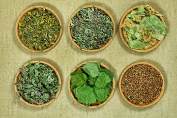 Set of healing herbs. Dry herbs