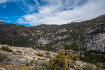 Landscape of Yosemite National Park 