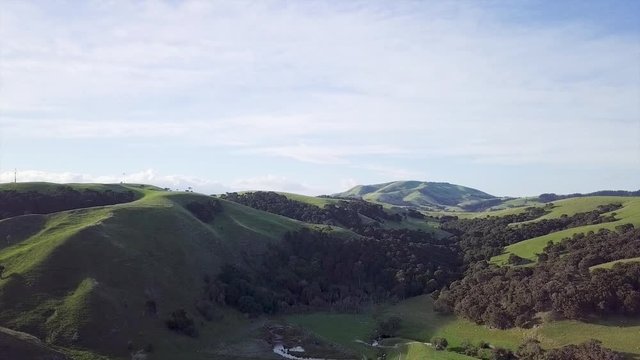 Hills And Trees Of New Zealands Beautiful Countryside, Aerial Landscape 