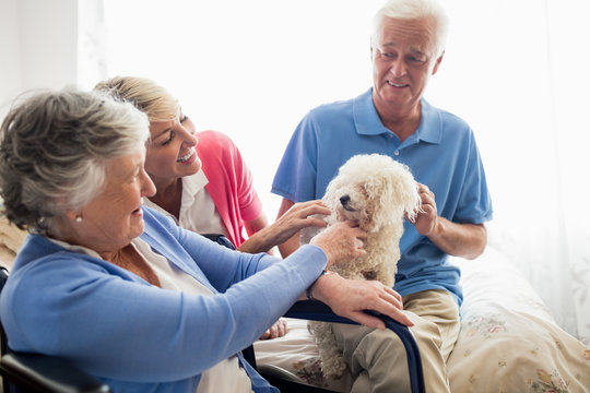 Senior couple and nurse taking care of a dog