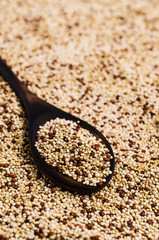 Dry seeds mixed quinoa