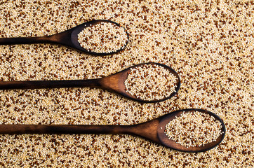 Dry seeds mixed quinoa