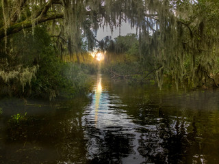 Fototapeta na wymiar Sunrise in the Swamp