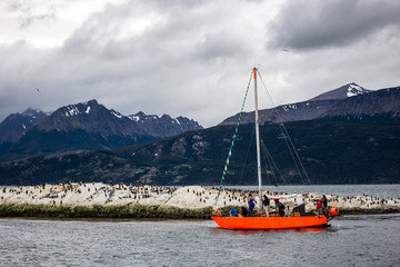 Orange sailboat on Beagle canal near ushuaia, with birds on a rocky island, Patagonia, Argentina