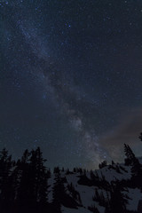 Milky way above trees and snowy mountain