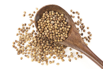 Coriander seeds in wooden spoon on white background