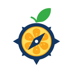Fruit Compass Logo Icon Design