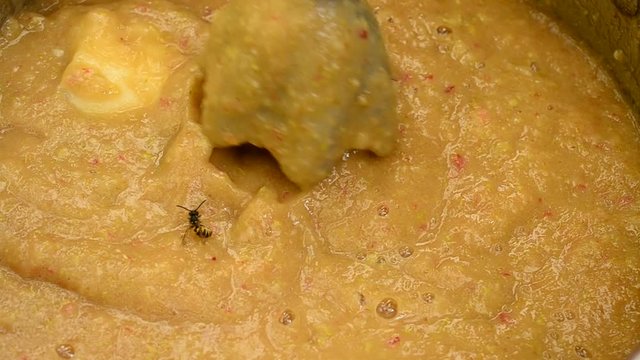 Saving a wasp from jam prepared with an immersion blender used to chop various fruit