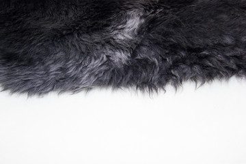 the fur of the sheepskin on white background