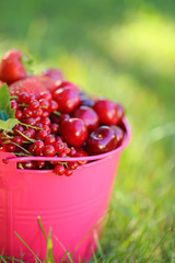 Berry season.bright pink bucket with berries of strawberries, blueberries, cherries, red currants on the green grass. Harvest of berries.