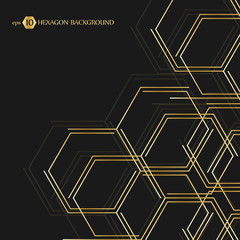 Hexagonal geometric background. Vector connection with lines and social network. Business presentation for your design and text. Minimal graphic concept. Eps 10 stock vector illustration.