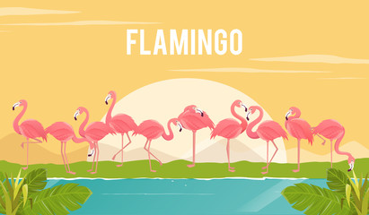 Set of flamingos on background. illustration.