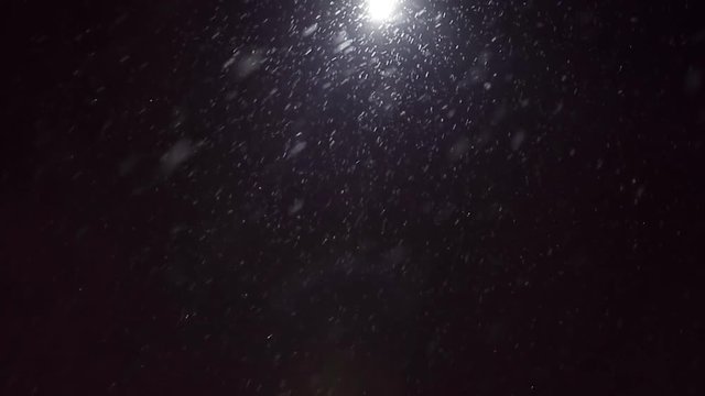 Falling snow at night. Snowflakes on black background, snowflakes fly in the camera