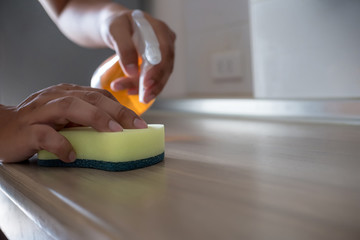 cleaning her house using a spray and a duster cleans
