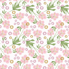 Seamless delicate pink flowers on white background.