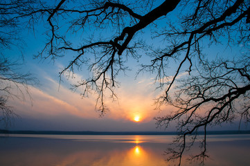 Fototapeta na wymiar Beautiful sunset over a lake. Evening scene with decorative branches over tha water. Breathtaking summer view on a calm water surface.