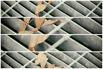 Square metal hatch in urban pavement, sewer manhole cover with marking lines and leaf inside