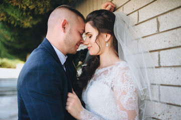 The bride and groom in a lace dress stand near a wall, in a beautiful park and hug each other.