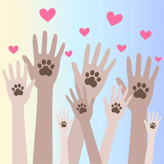 Animal dog paw in people hand6