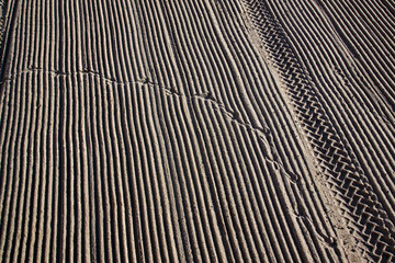 Cleaned by a tractor sand on the Mediterranean beach