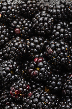 Closeup of ripe blackberry