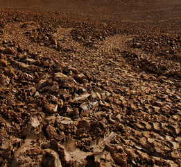 Brown soil of a field.