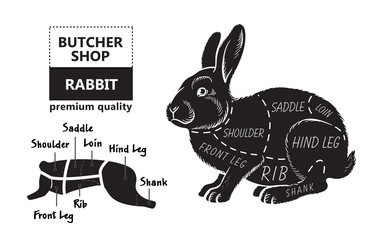 Cut of rabbit. Poster Butcher diagram for groceries, meat stores, butcher shop, farmer market. Poster for meat related theme. Rabbit silhouette. Vector illustration.